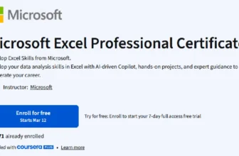 Microsoft Excel Professional Certificate