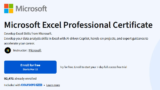 Microsoft Excel Professional Certificate