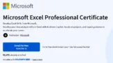Microsoft Excel Professional Certificate